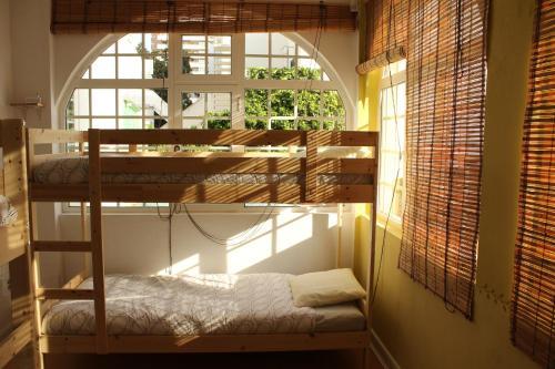 Le Penguin Hostel