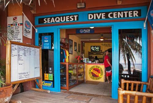 Hotel Oasis Beach And Dive Resort