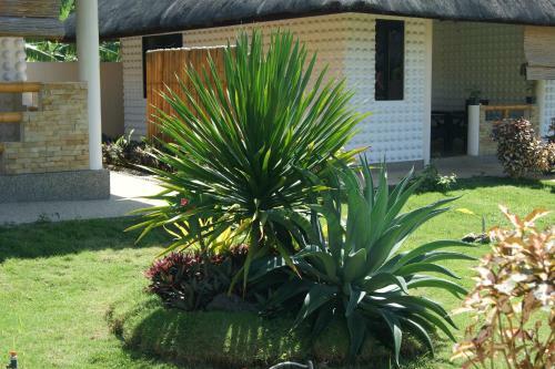 Panglao Homes Resort & Villas