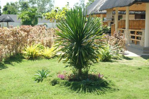 Panglao Homes Resort & Villas