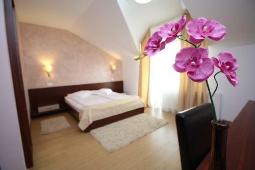 Hostal Pensiunea Konfort