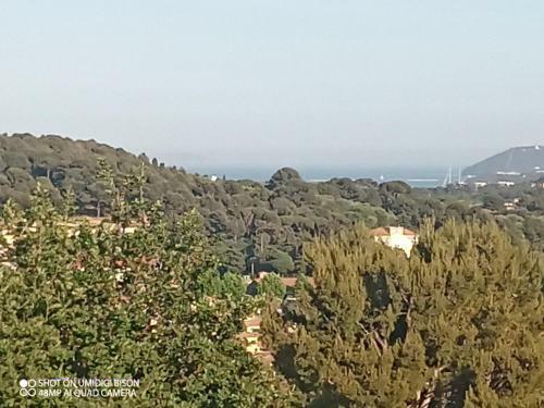 Apartamento Haut De Villa En Duplex T2 Avec Terrasse Vue Rade