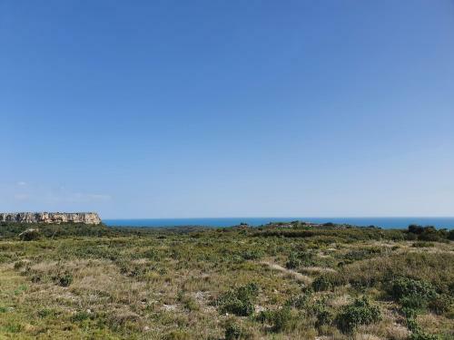 Apartamento Le Flot Des Vagues