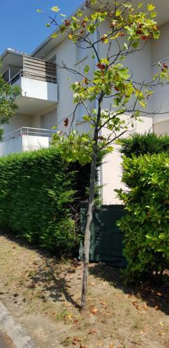 Apartamento Appartement 2 Pi�ces Avec Jardin Privatif