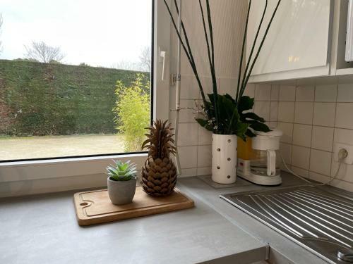 Apartamento Lebraz 2