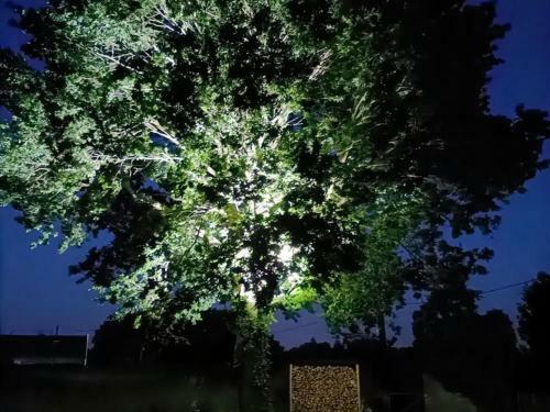 G�te Steenwerck, 3 Pi�ces, 4 Personnes - Fr-1-510-172