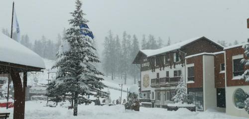 Apartamento Chaleureux Studio Au Centre De Valberg