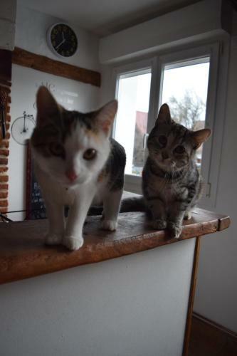 Chambre Priv�e Chez L'habitant
