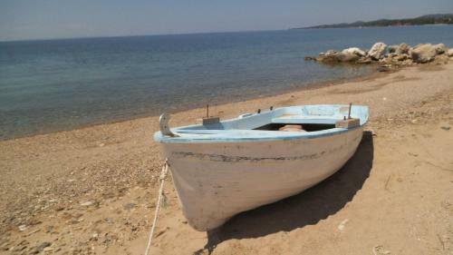 Apartamento Finikas Garden Beach Resort Nikiti