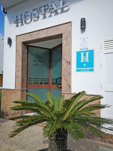 Hostal Bodega