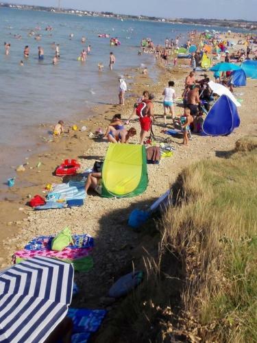 Apartments Dobri - 500m From Beach