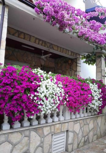 Apartments Dobri - 500m From Beach