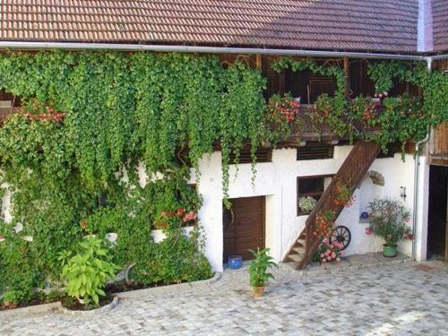 Hostal Fr�hst�ckspension Zur Blauen Traube