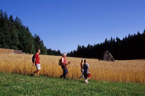 Hostal Fr�hst�ckspension Zur Blauen Traube