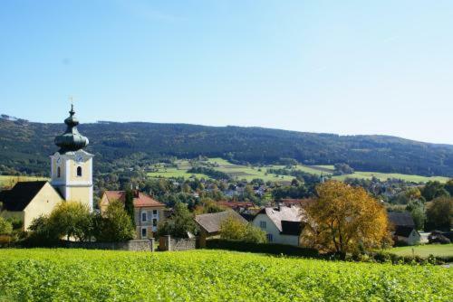 Hostal Fr�hst�ckspension Zur Blauen Traube