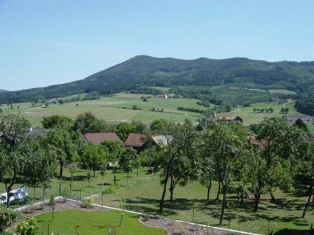 Hostal Fr�hst�ckspension Zur Blauen Traube