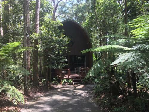 Springbrook Mountain Chalets