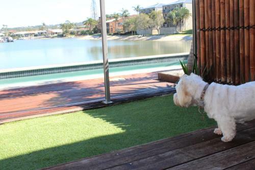 Apartamentos Saltwater Villas - Pet Friendly Accommodation
