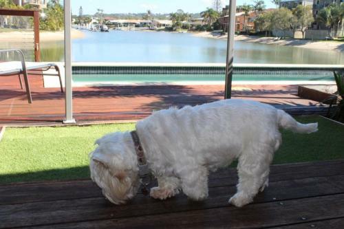 Apartamentos Saltwater Villas - Pet Friendly Accommodation