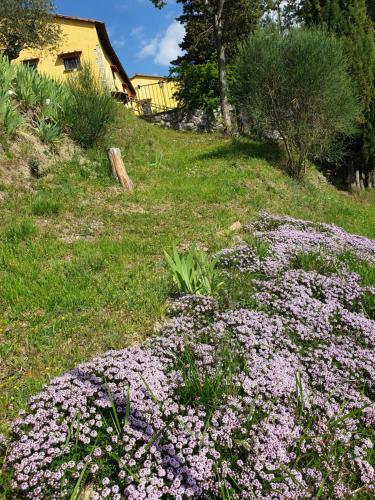 San Martino Villa E Resort