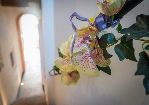 Bed & Breakfast L'albero Di Gamel�