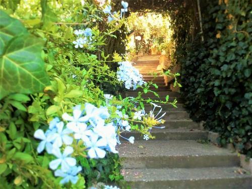 Bed & Breakfast Delle Rose