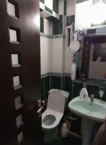 Unirii Ultracentral Apartament