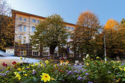 Hotel Teilor ***