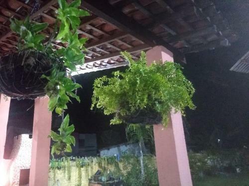 Posada Pousada Encontro Das Aguas