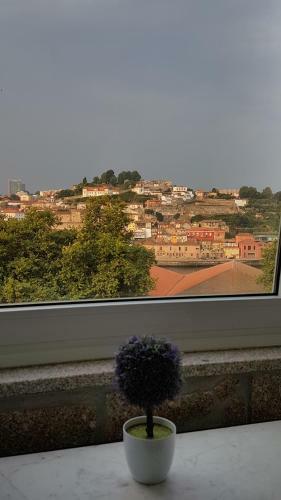 Bed & Breakfast Private Villa Porto