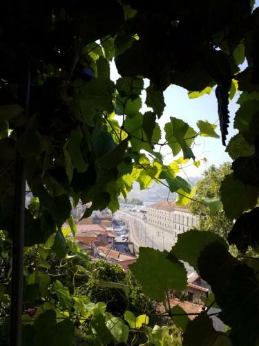 Bed & Breakfast Private Villa Porto