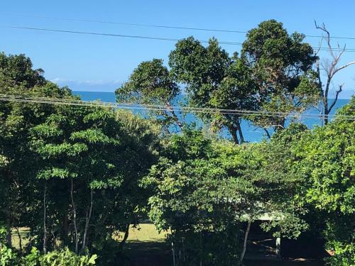 Pandanus Holiday Apartments