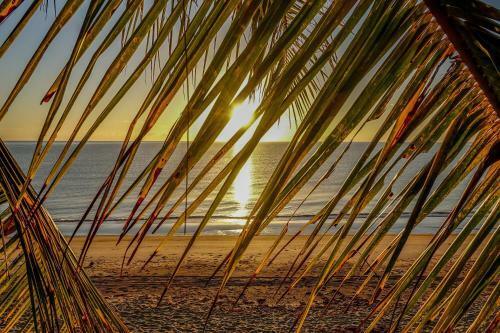 Pandanus Holiday Apartments