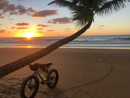 Pandanus Holiday Apartments