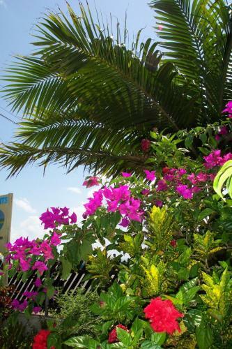 Apartamento Sunrise Units