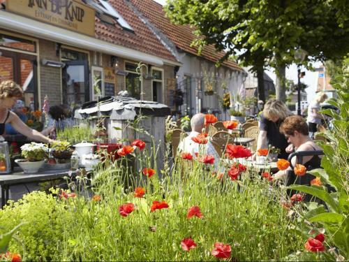 Texelcamping Loodsmansduin