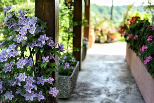 B&B Cascina Ciapilau