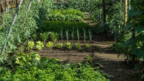 Hotel Albergo Ristorante Monterosa