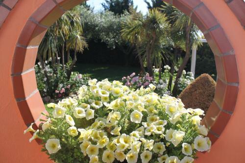 Bed & Breakfast Villa Francesca