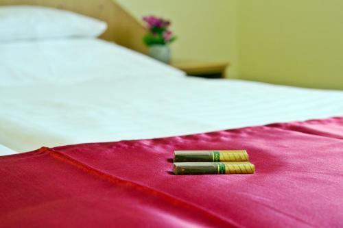 Hostal Term�l Panzi�