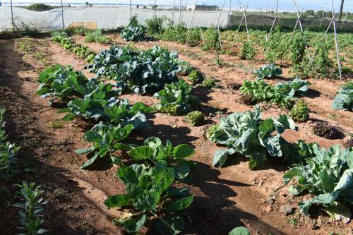 Agroturismo Cortijo La Molina De Cabo De Gata