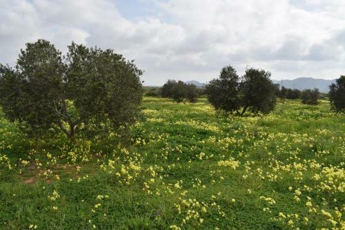 Agroturismo Cortijo La Molina De Cabo De Gata