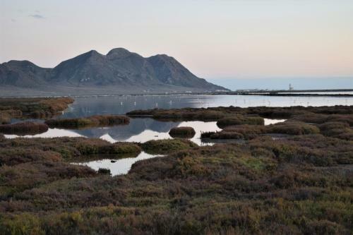 Agroturismo Cortijo La Molina De Cabo De Gata