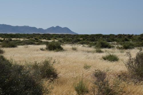 Agroturismo Cortijo La Molina De Cabo De Gata