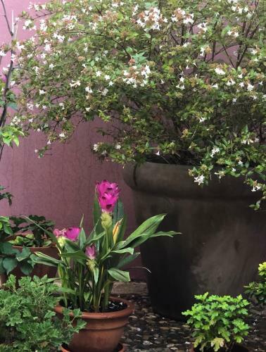 Apartamento La Posada De Lola