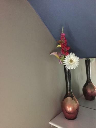 Hostal Poltair Guest House