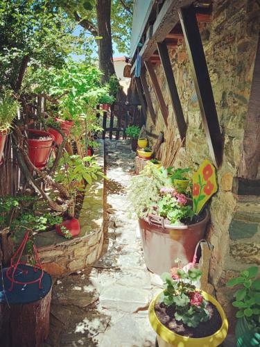 Hostal Traditional Guesthouse Erato