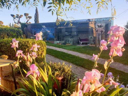 Bed & Breakfast Ca' Dei Gelsi B & B