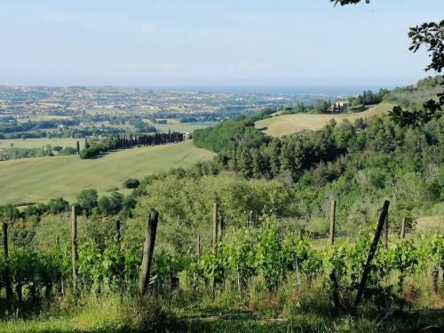 La Bolla Del Borgo. Le Marche Tra Le Stelle.