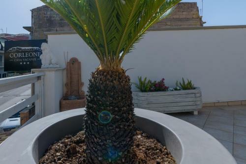 Bed & Breakfast Corleone Guesthouse